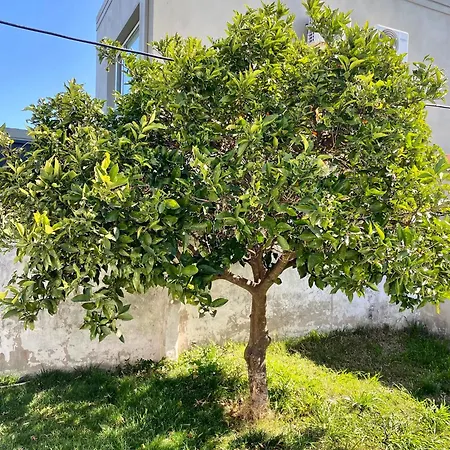 The Orange Tree Villa Tandil Exterior photo